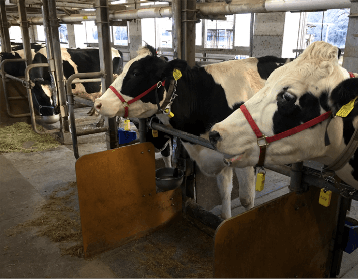 光和ネットサービス